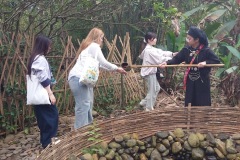 Cultural activities