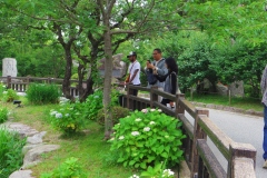 IMGP4116